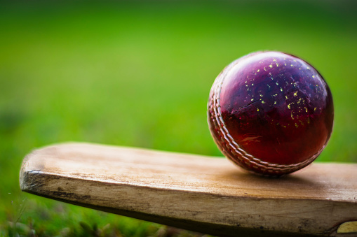 Cricket ball with bat