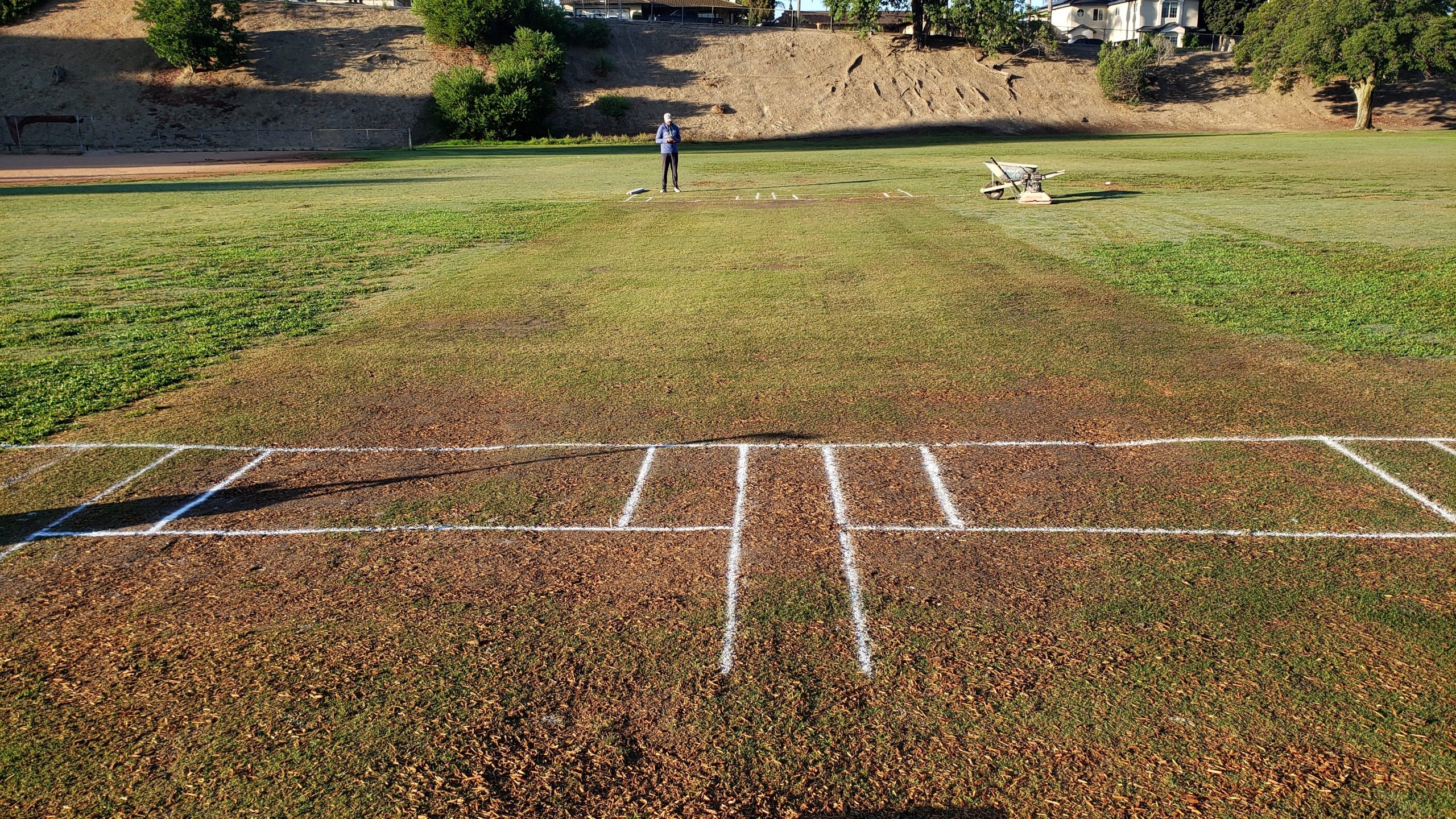 Two Cricket Pitches